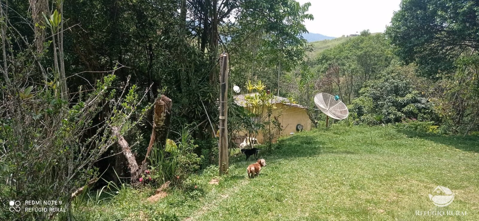 Chácara de 2 ha em Monteiro Lobato, SP