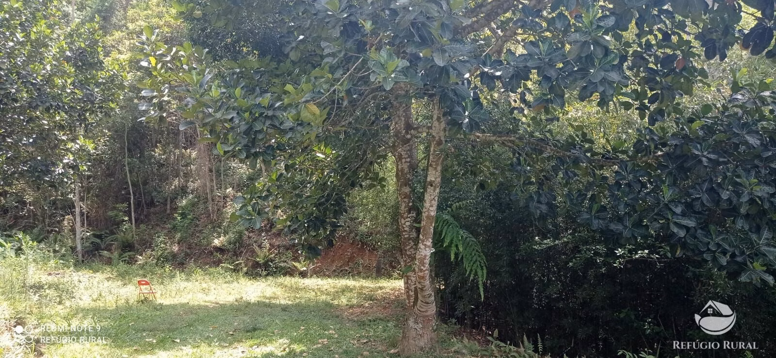 Chácara de 2 ha em Monteiro Lobato, SP
