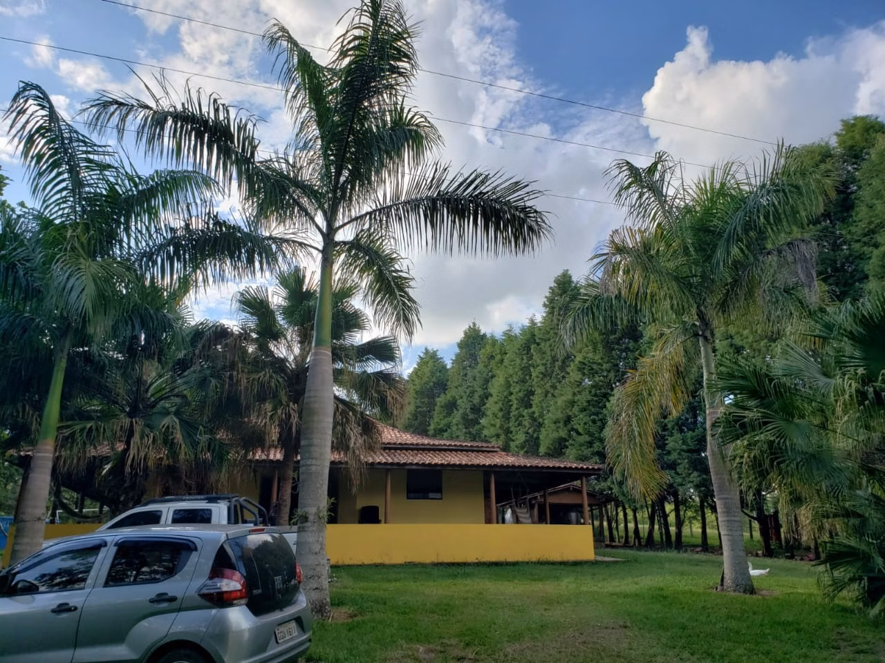 Small farm of 39 acres in Quadra, SP, Brazil