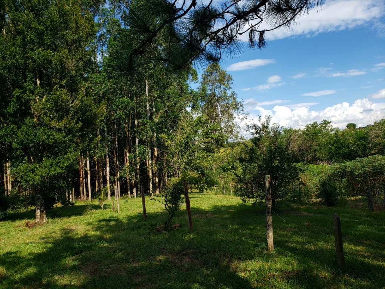 Small farm of 39 acres in Quadra, SP, Brazil
