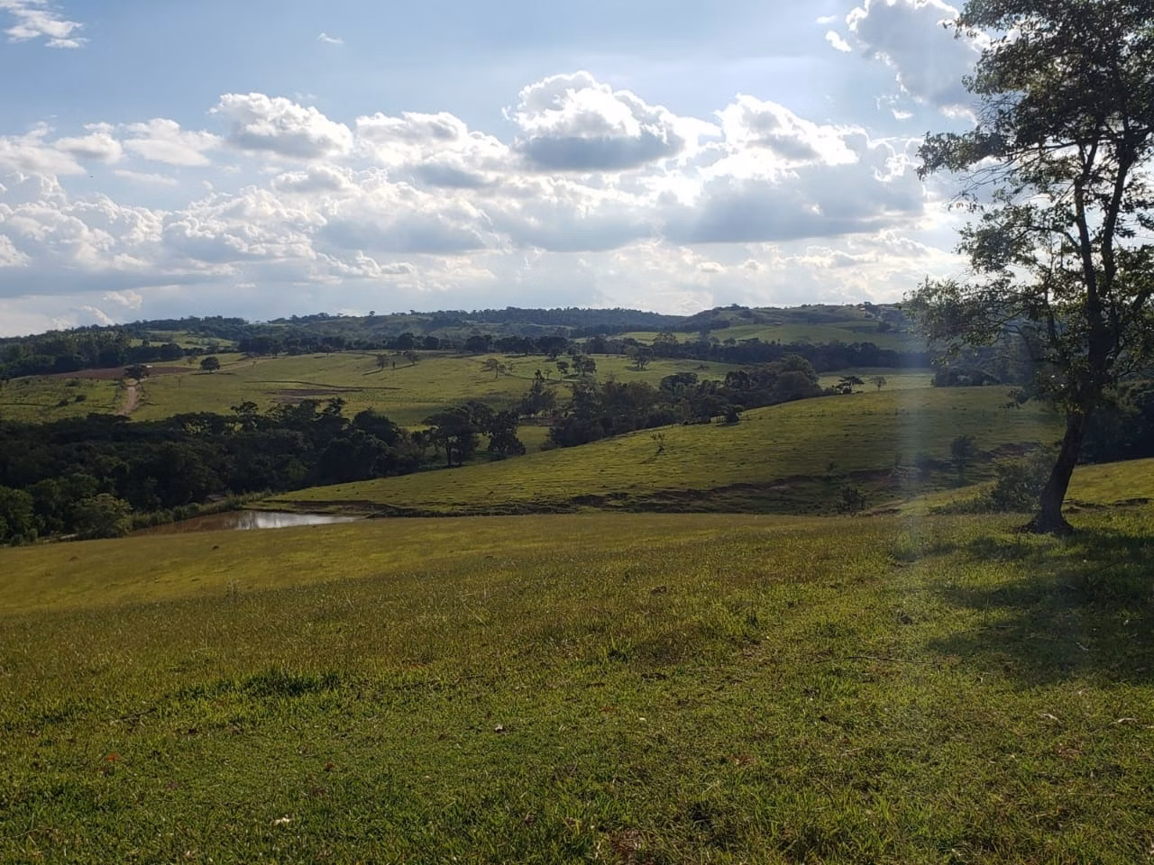 Small farm of 39 acres in Quadra, SP, Brazil