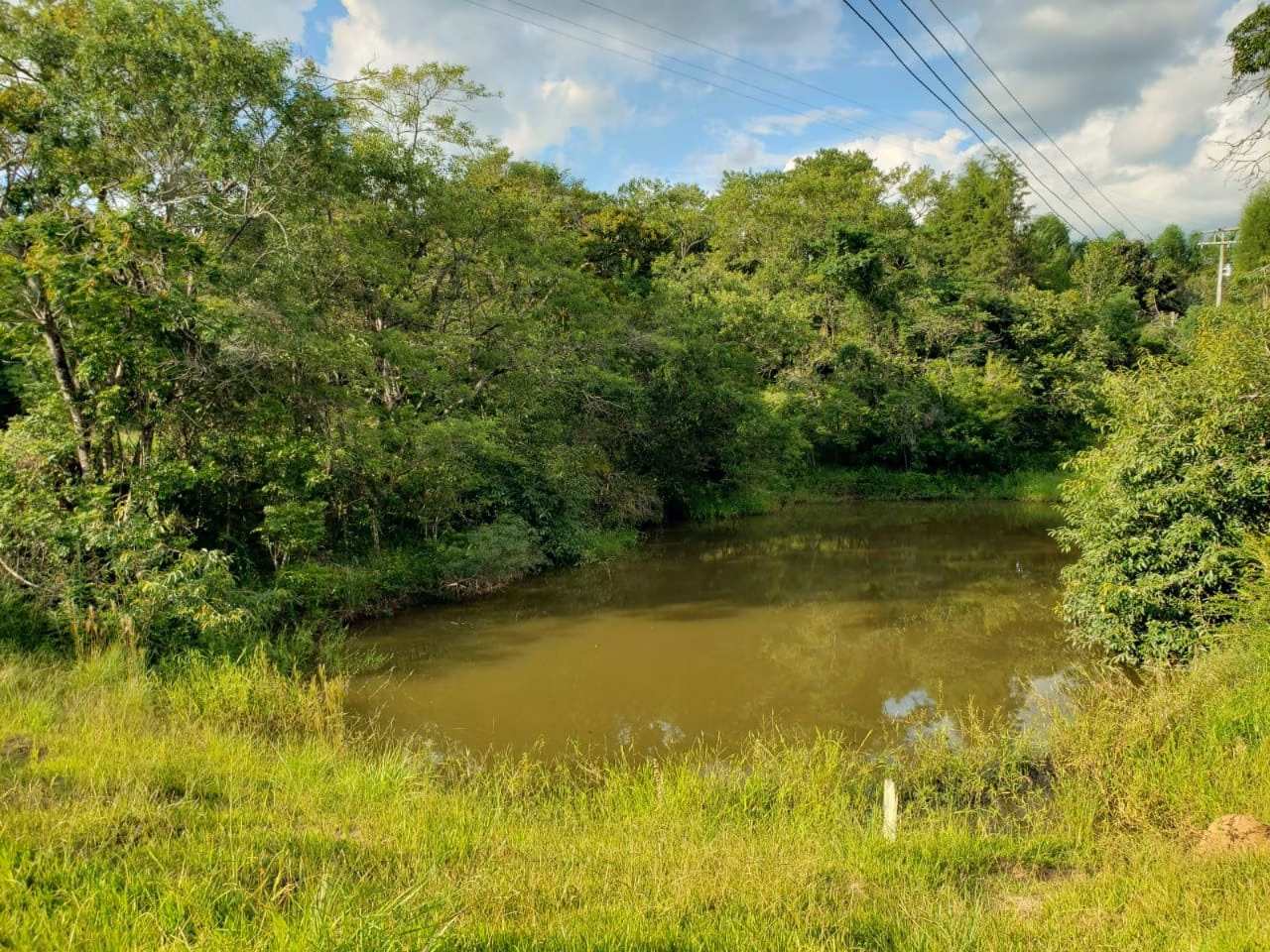 Small farm of 39 acres in Quadra, SP, Brazil