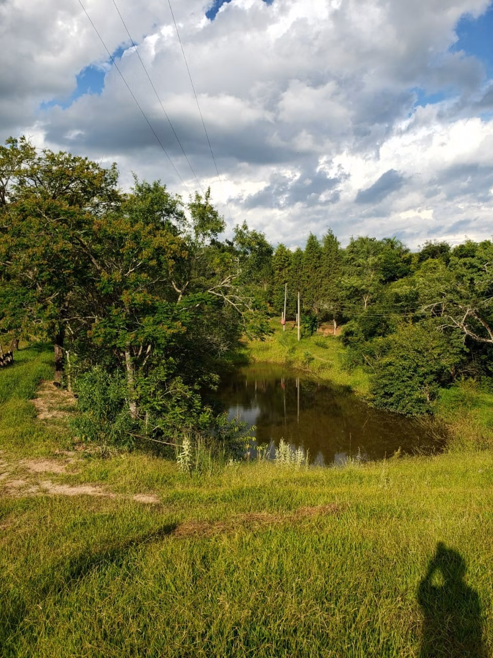 Small farm of 39 acres in Quadra, SP, Brazil