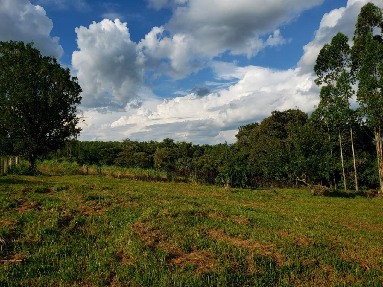 Small farm of 39 acres in Quadra, SP, Brazil