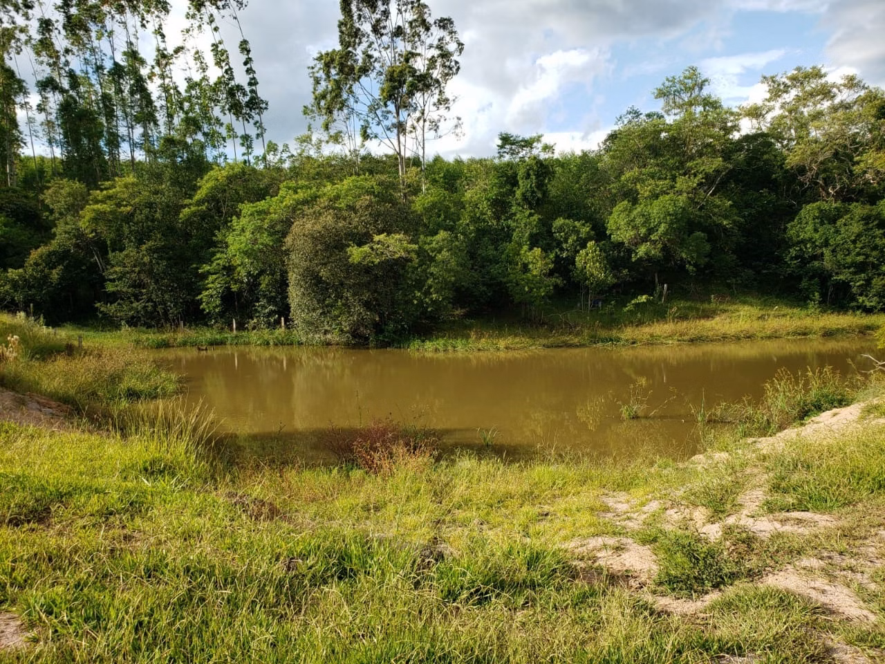 Small farm of 39 acres in Quadra, SP, Brazil