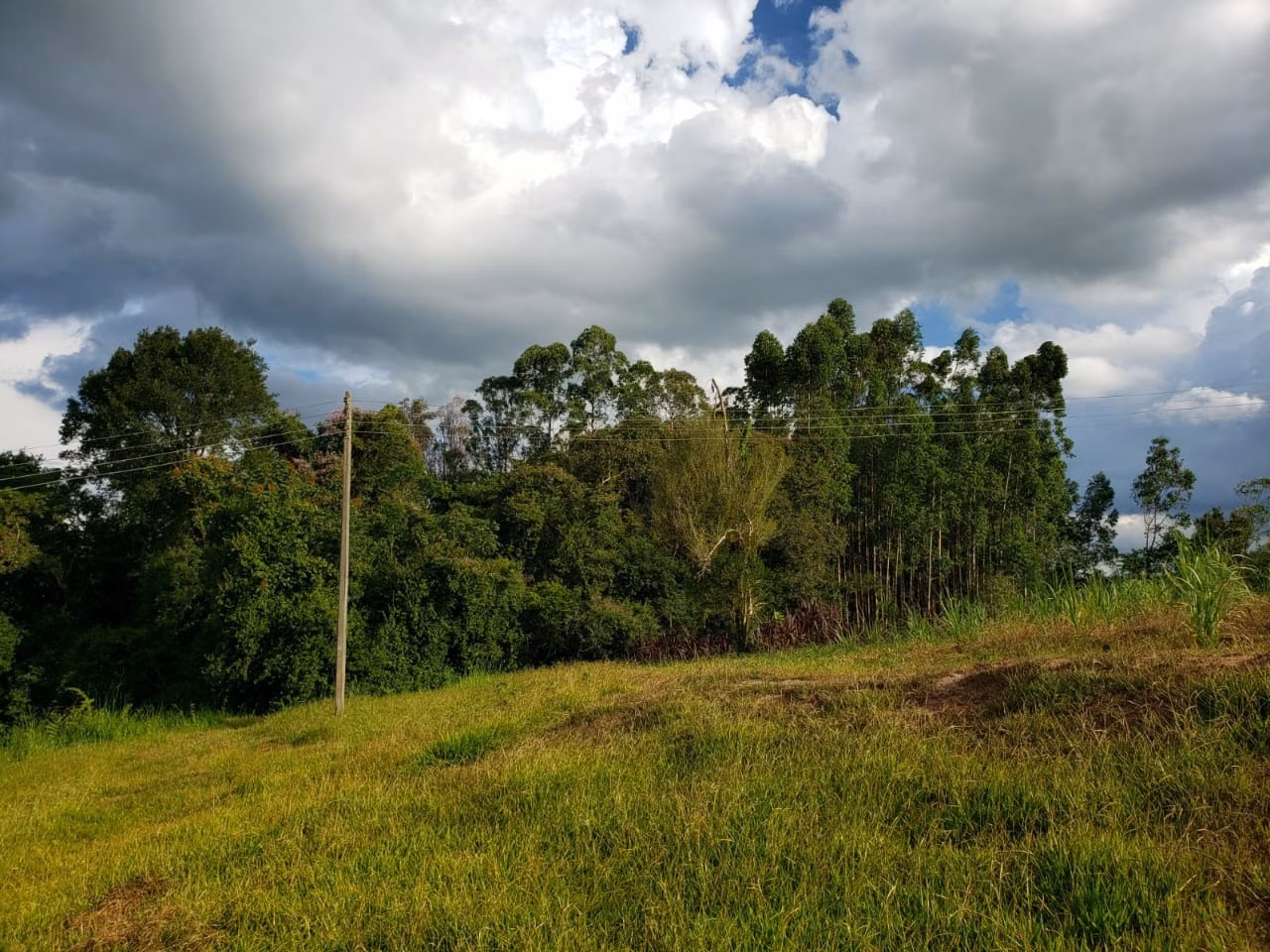 Small farm of 39 acres in Quadra, SP, Brazil