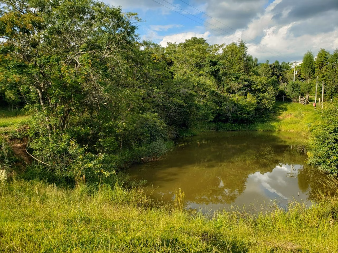 Small farm of 39 acres in Quadra, SP, Brazil