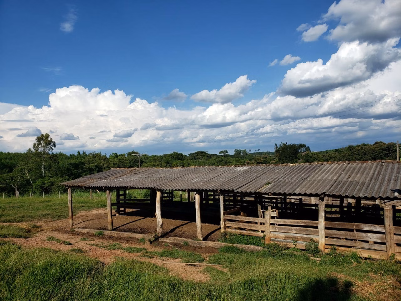 Small farm of 39 acres in Quadra, SP, Brazil