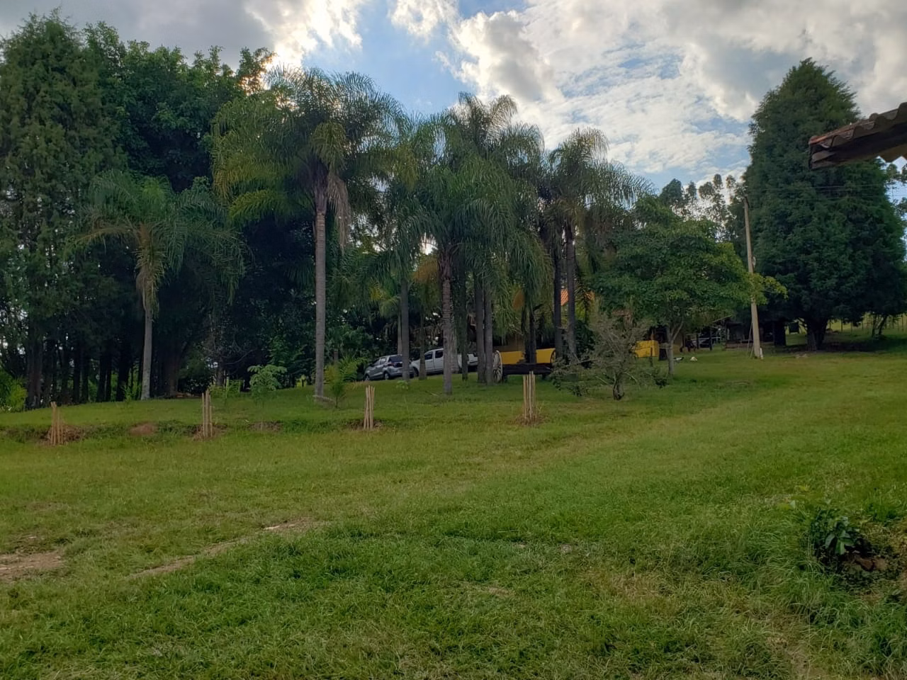 Small farm of 39 acres in Quadra, SP, Brazil