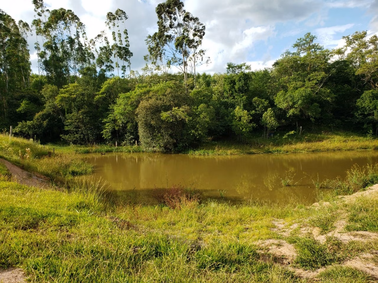 Small farm of 39 acres in Quadra, SP, Brazil