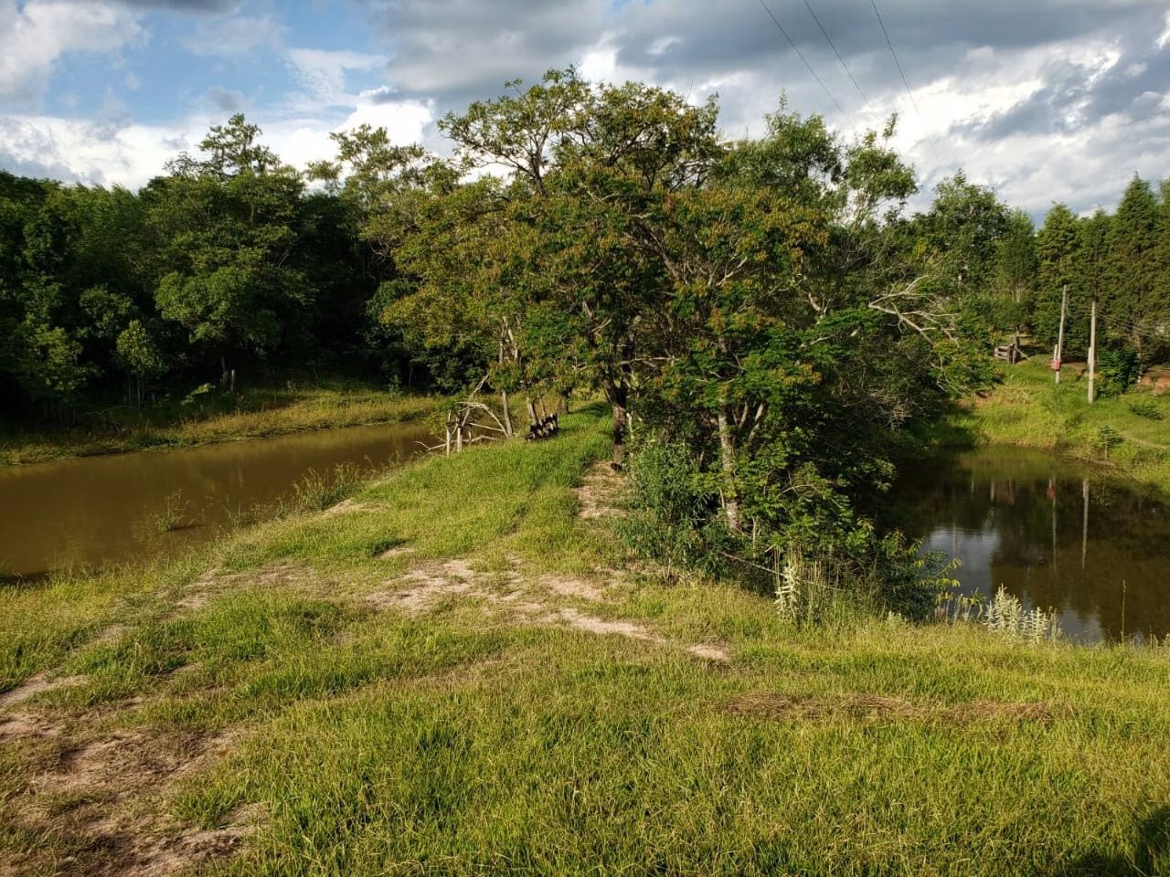 Small farm of 39 acres in Quadra, SP, Brazil