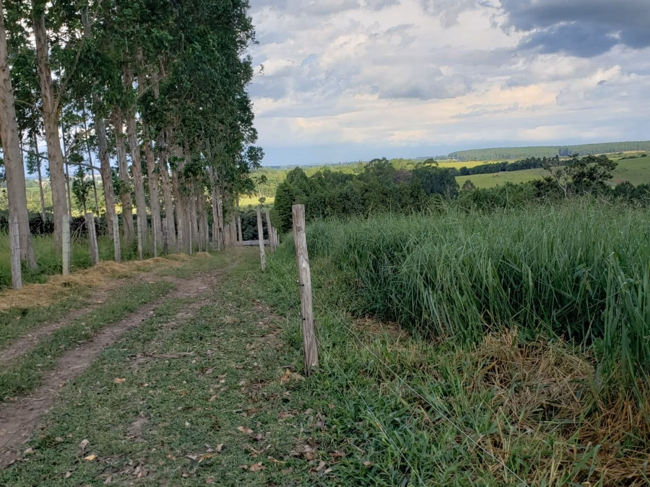 Small farm of 39 acres in Quadra, SP, Brazil