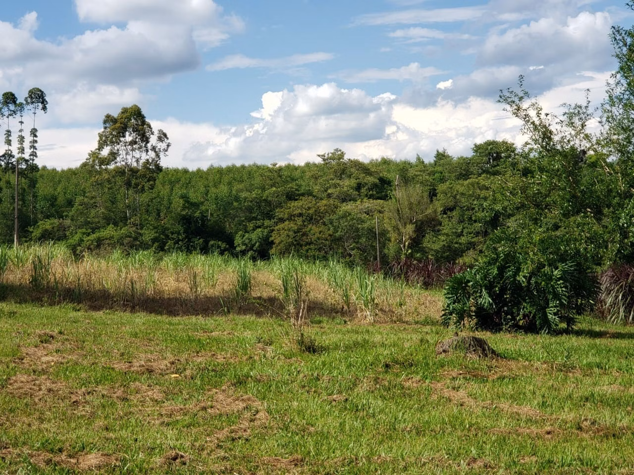 Small farm of 39 acres in Quadra, SP, Brazil