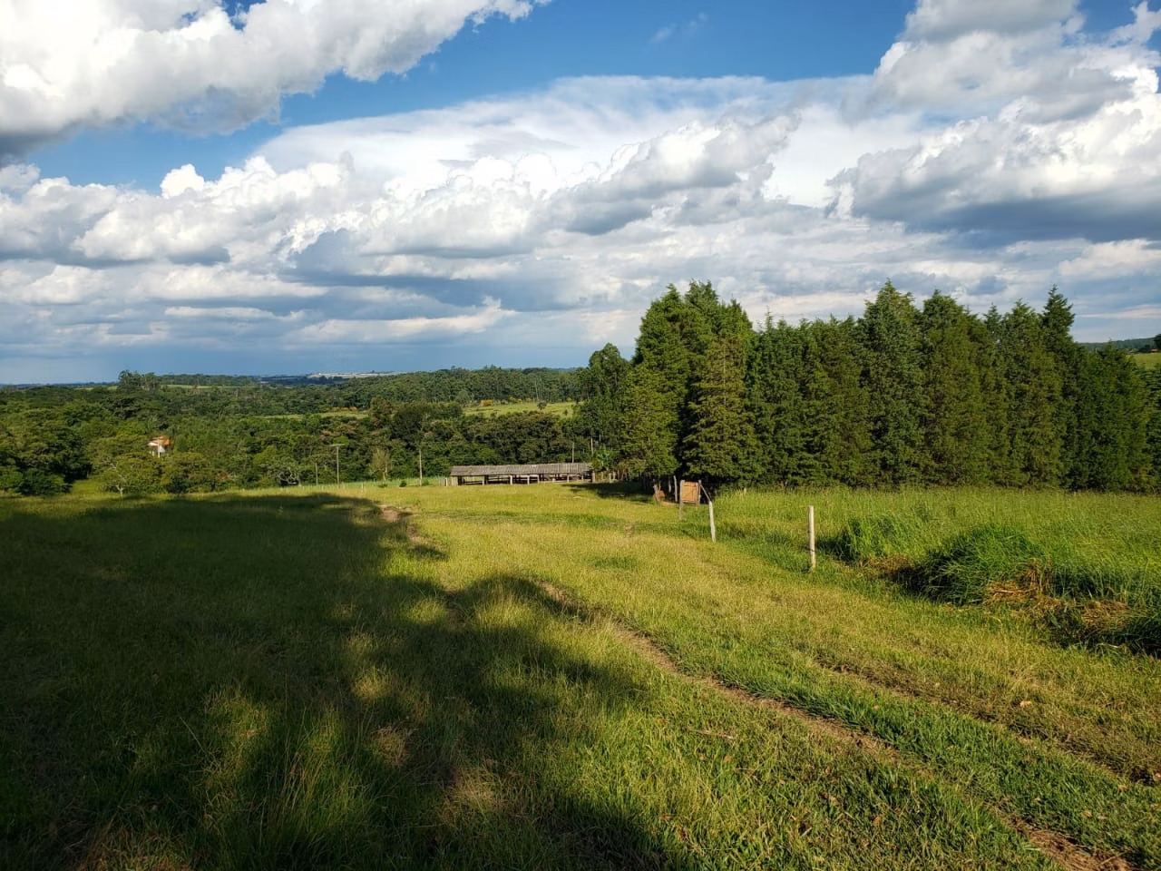 Small farm of 39 acres in Quadra, SP, Brazil