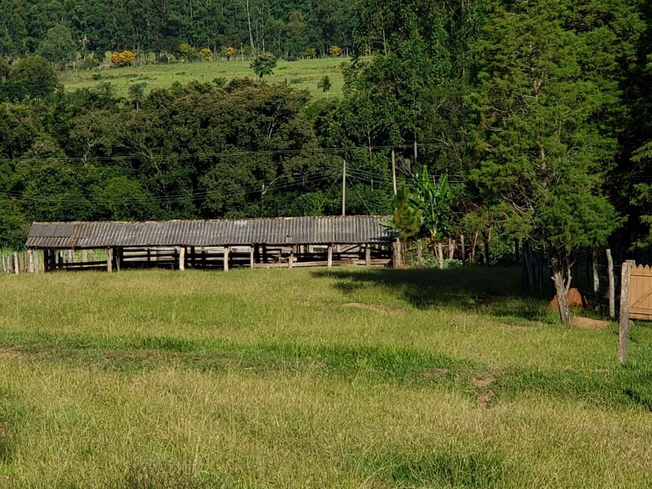 Small farm of 39 acres in Quadra, SP, Brazil