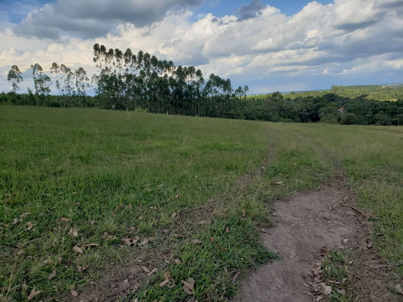 Small farm of 39 acres in Quadra, SP, Brazil