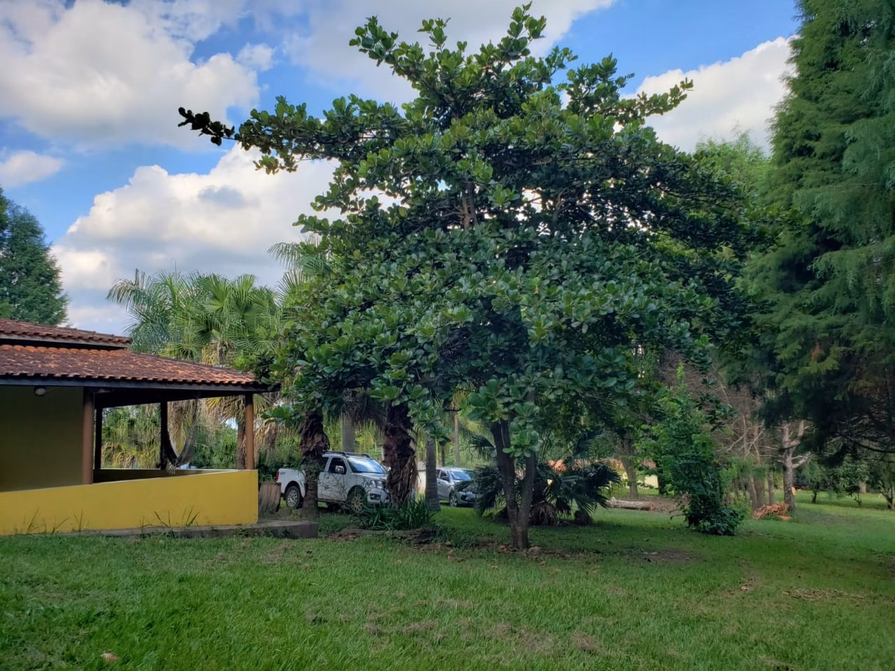 Small farm of 39 acres in Quadra, SP, Brazil