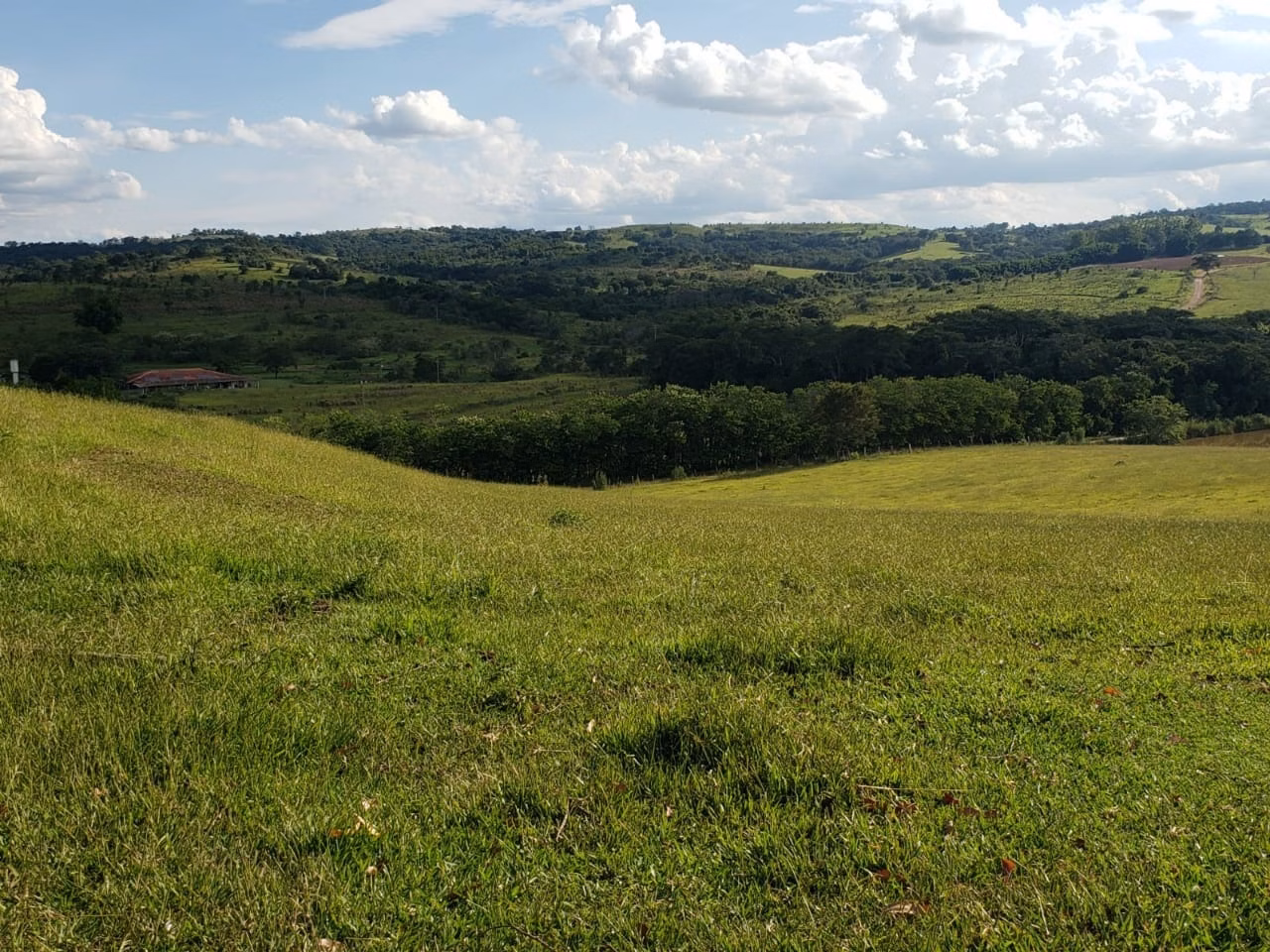 Small farm of 39 acres in Quadra, SP, Brazil