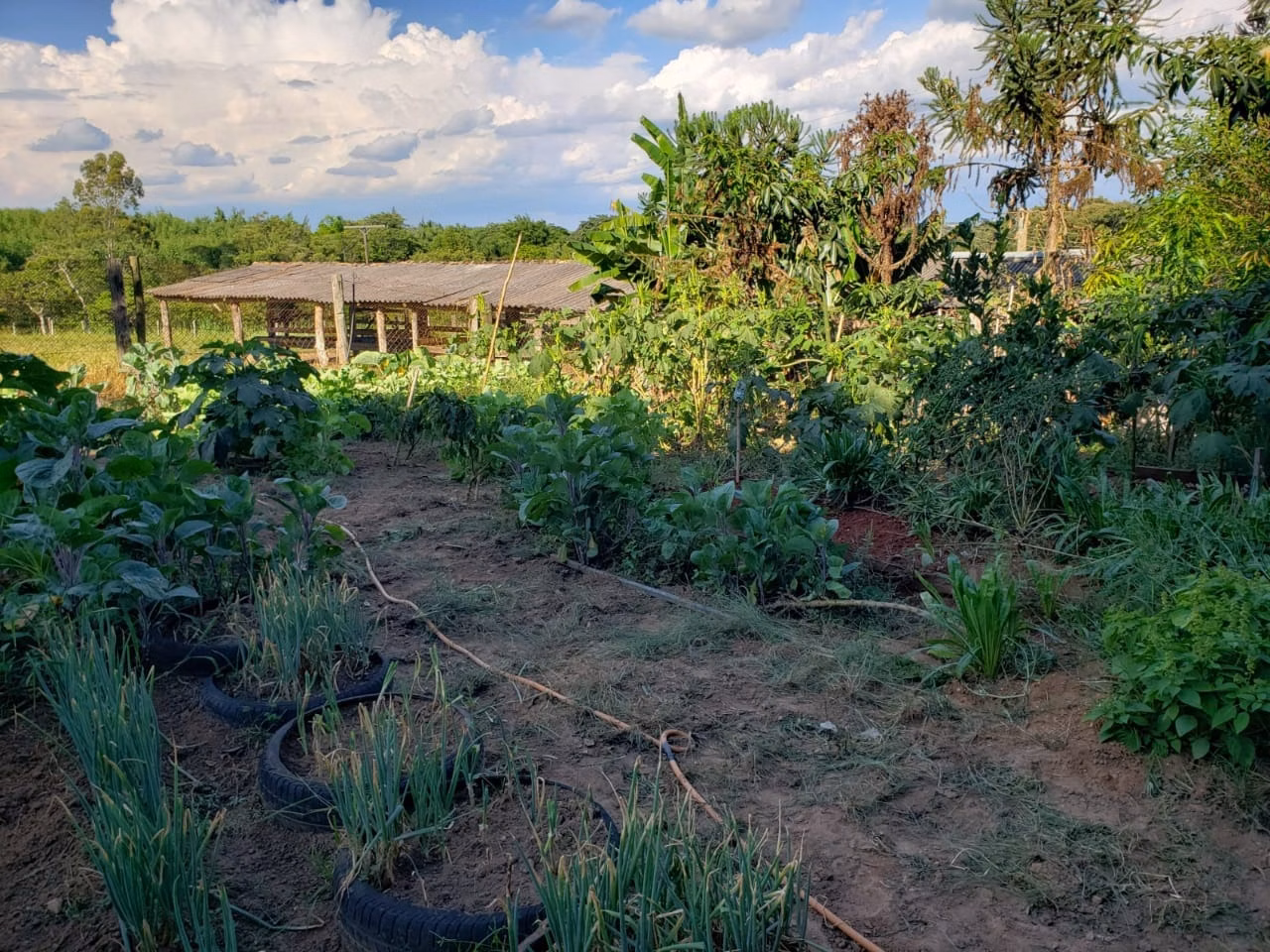 Small farm of 39 acres in Quadra, SP, Brazil