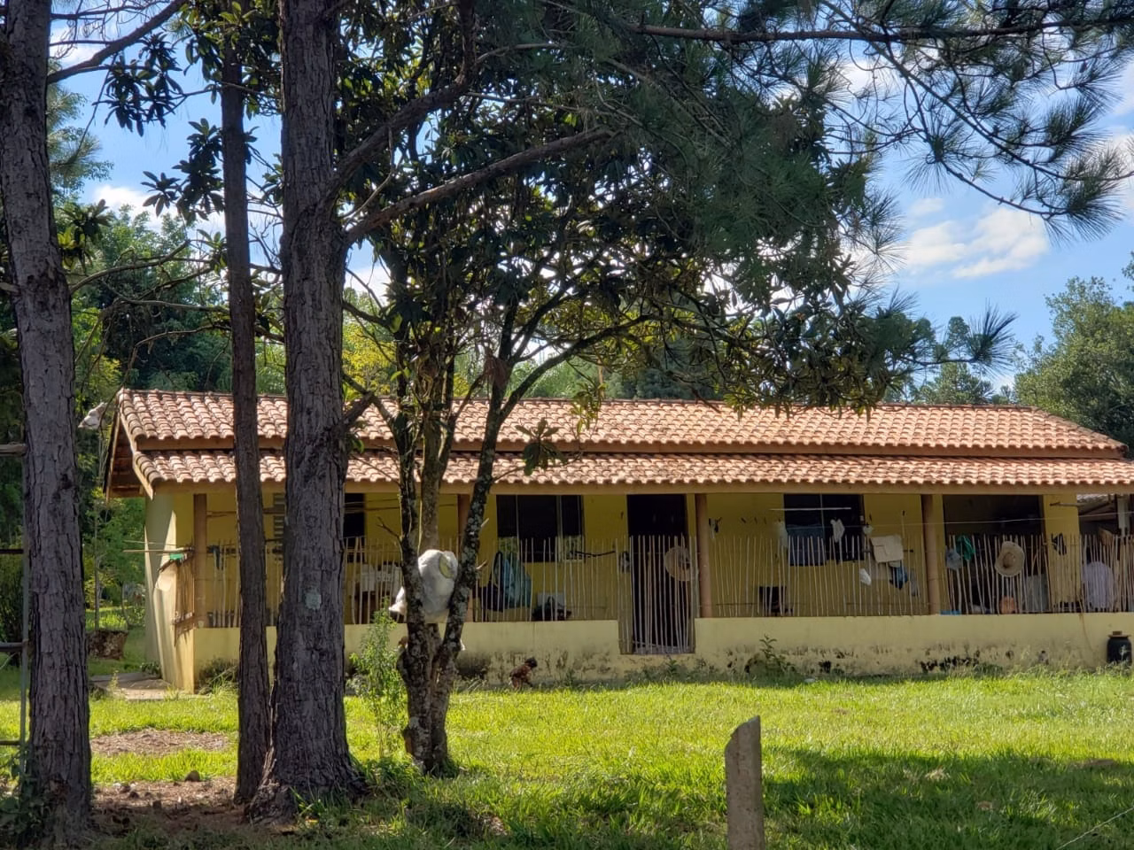 Small farm of 39 acres in Quadra, SP, Brazil