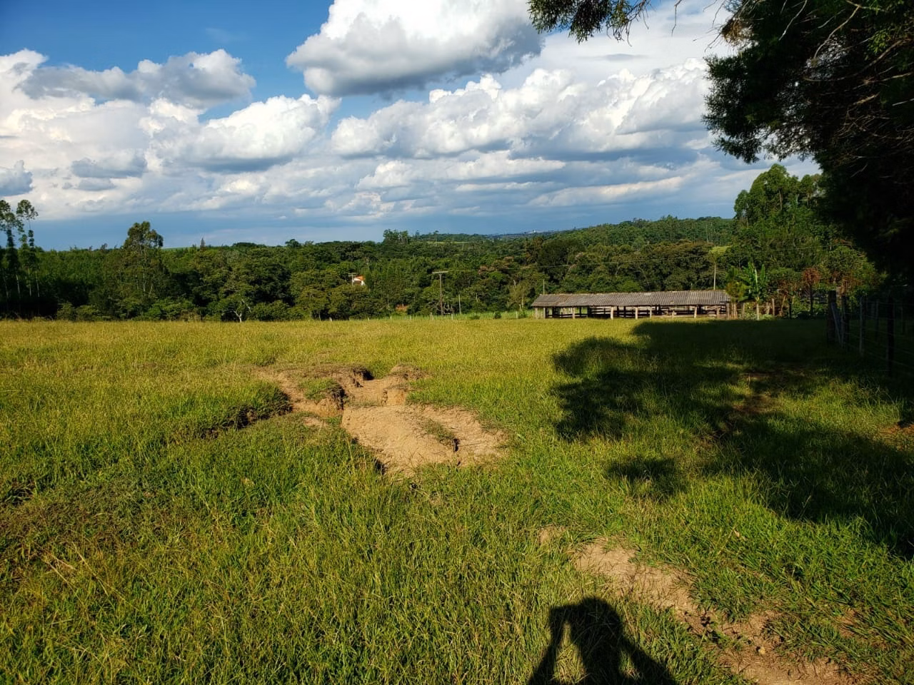 Small farm of 39 acres in Quadra, SP, Brazil