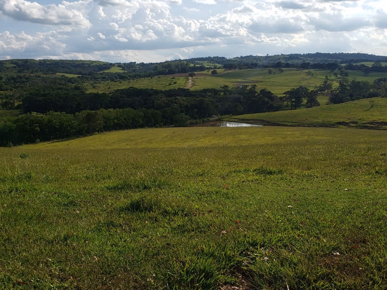 Small farm of 39 acres in Quadra, SP, Brazil