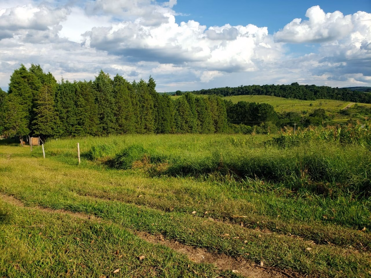 Small farm of 39 acres in Quadra, SP, Brazil