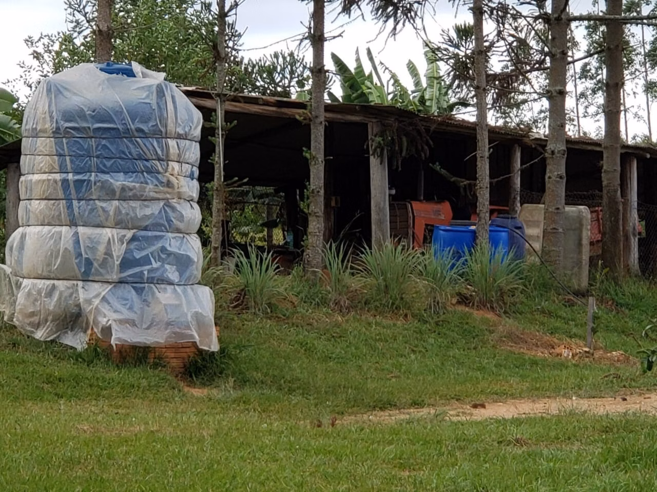 Small farm of 39 acres in Quadra, SP, Brazil