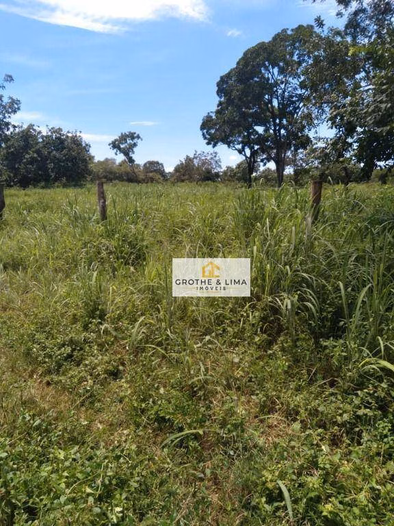 Farm of 957 acres in Formoso do Araguaia, TO, Brazil