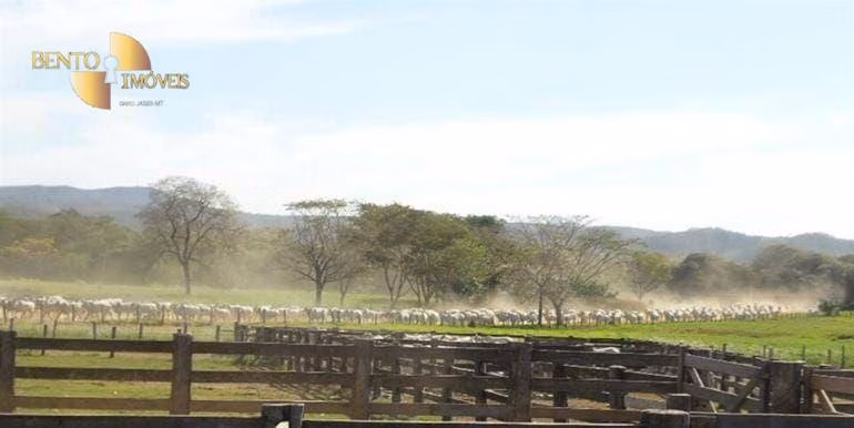 Small farm of 194 acres in Miranda, MS, Brazil