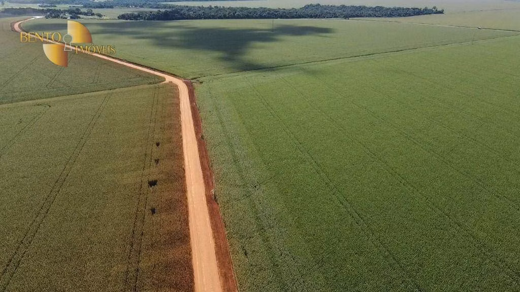Fazenda de 1.240 ha em Nova Mutum, MT