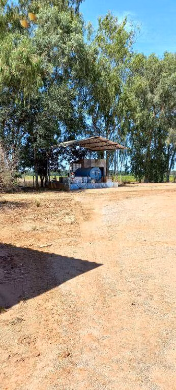 Fazenda de 1.240 ha em Nova Mutum, MT