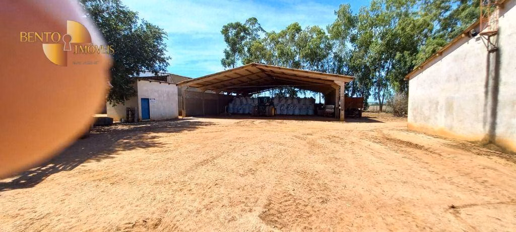Fazenda de 1.240 ha em Nova Mutum, MT