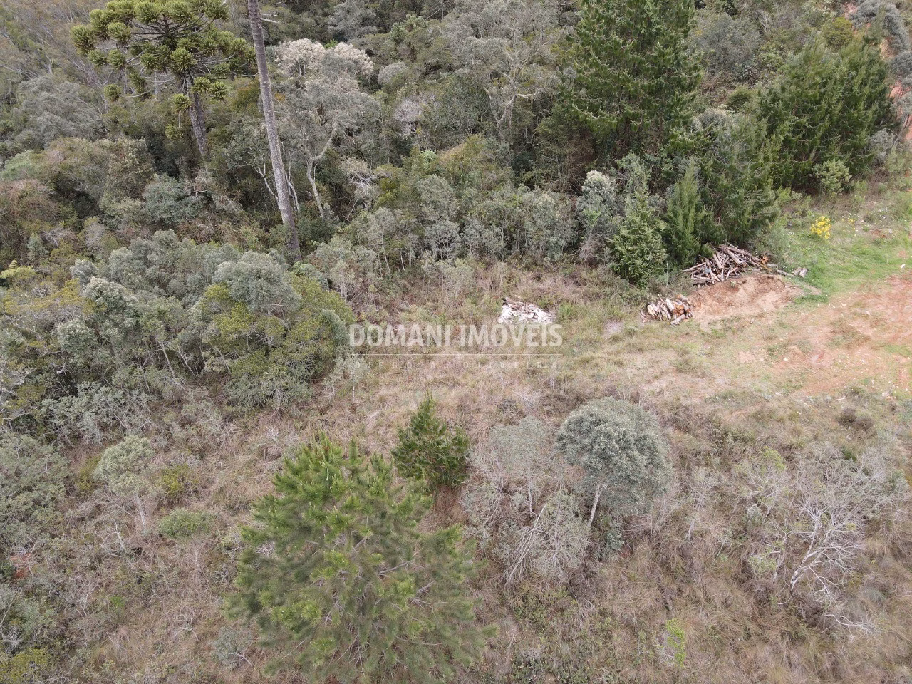 Terreno de 2.400 m² em Campos do Jordão, SP