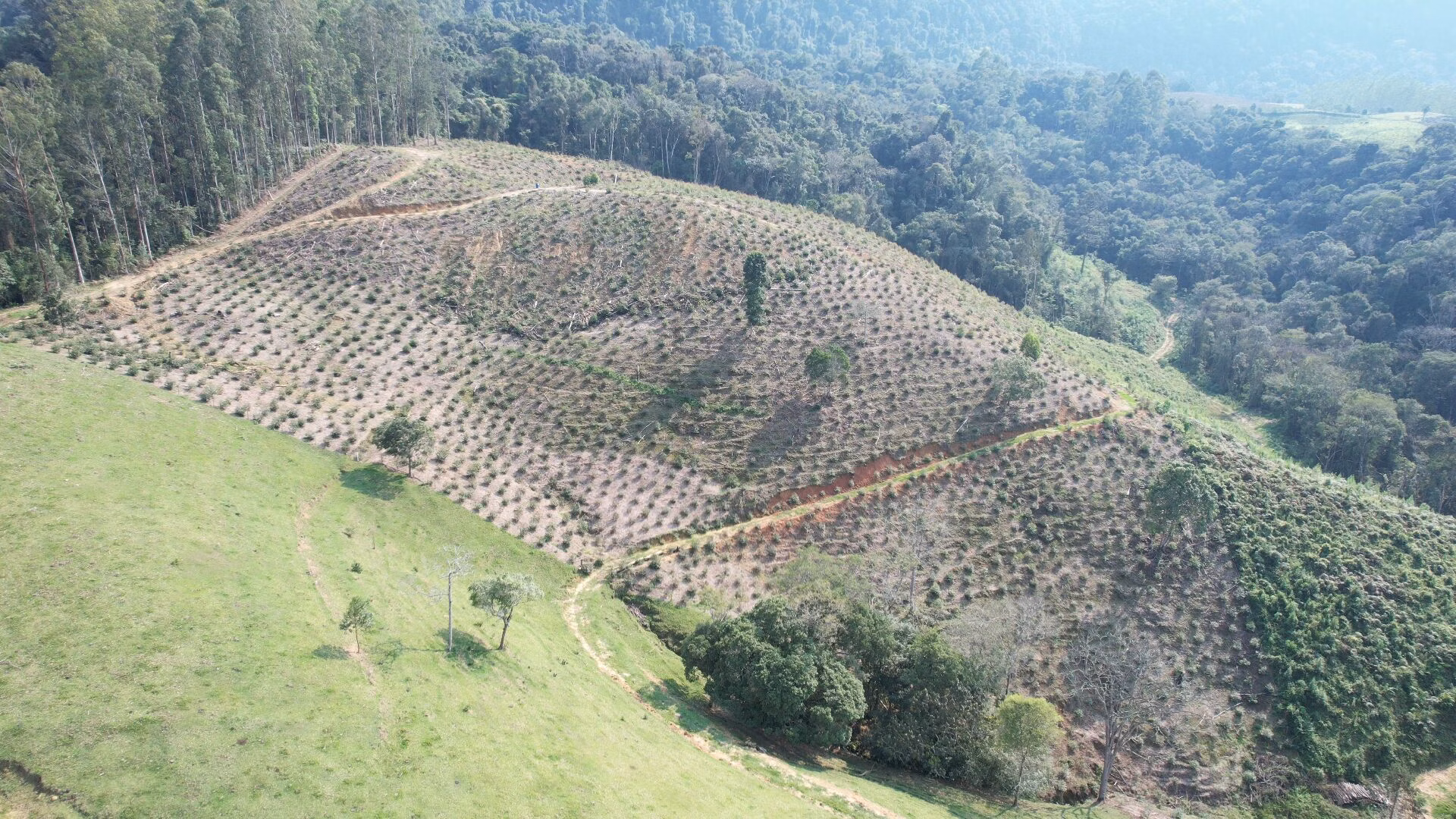 Terreno de 20 ha em Vitor Meireles, SC