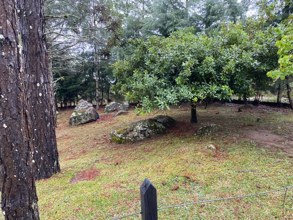 Sítio de 2 ha em Piquete, SP
