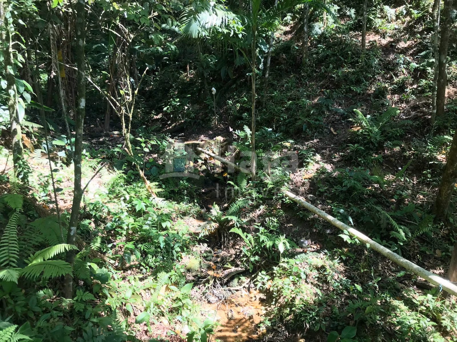 Fazenda de 4 ha em Guabiruba, SC