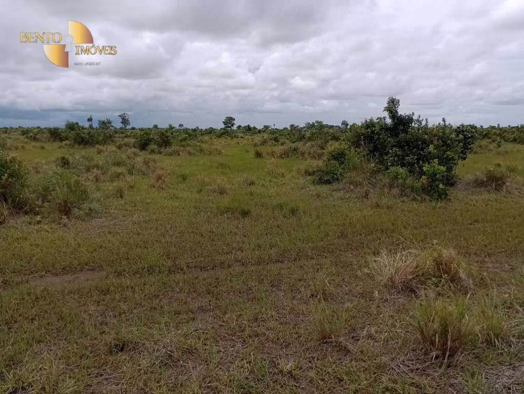 Fazenda de 591 ha em Vila Bela da Santíssima Trindade, MT
