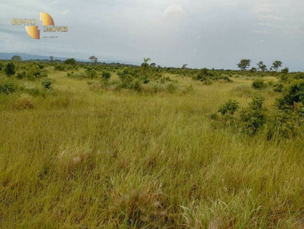 Fazenda de 591 ha em Vila Bela da Santíssima Trindade, MT