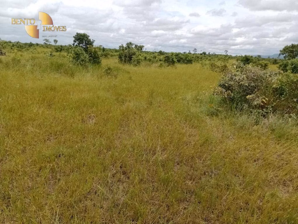 Fazenda de 591 ha em Vila Bela da Santíssima Trindade, MT