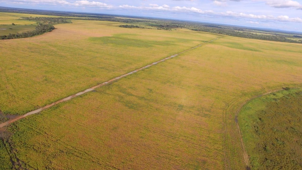 Fazenda de 3.308 ha em Cocalinho, MT