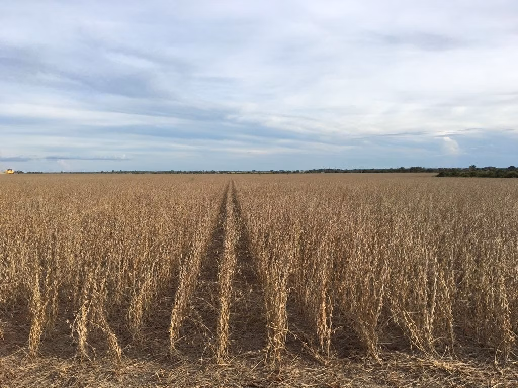 Fazenda de 3.308 ha em Cocalinho, MT