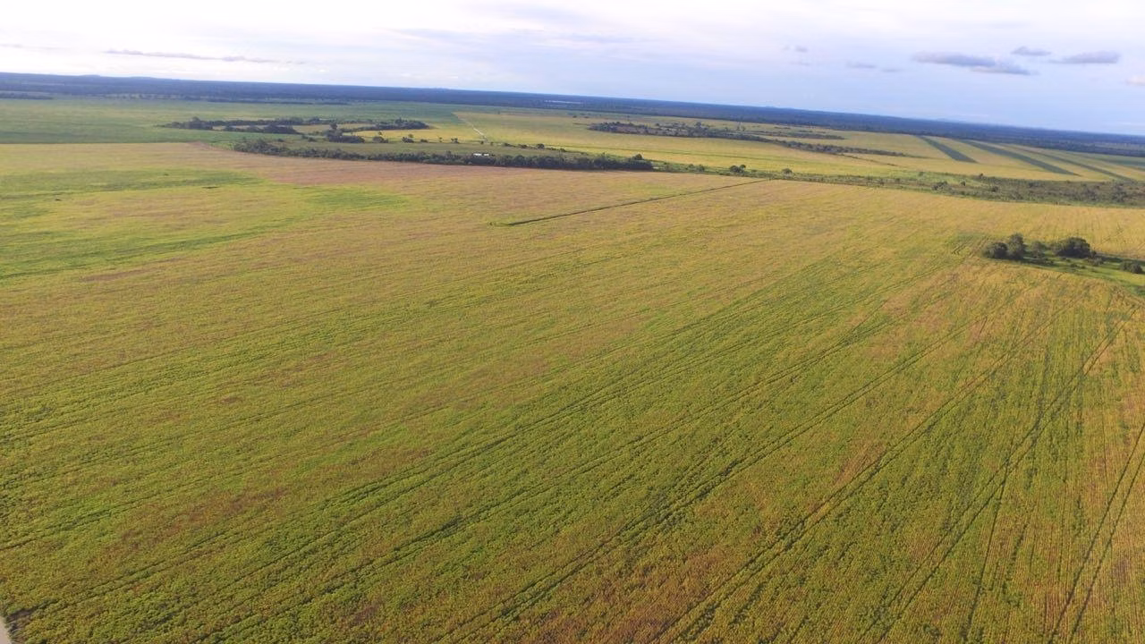 Fazenda de 3.308 ha em Cocalinho, MT