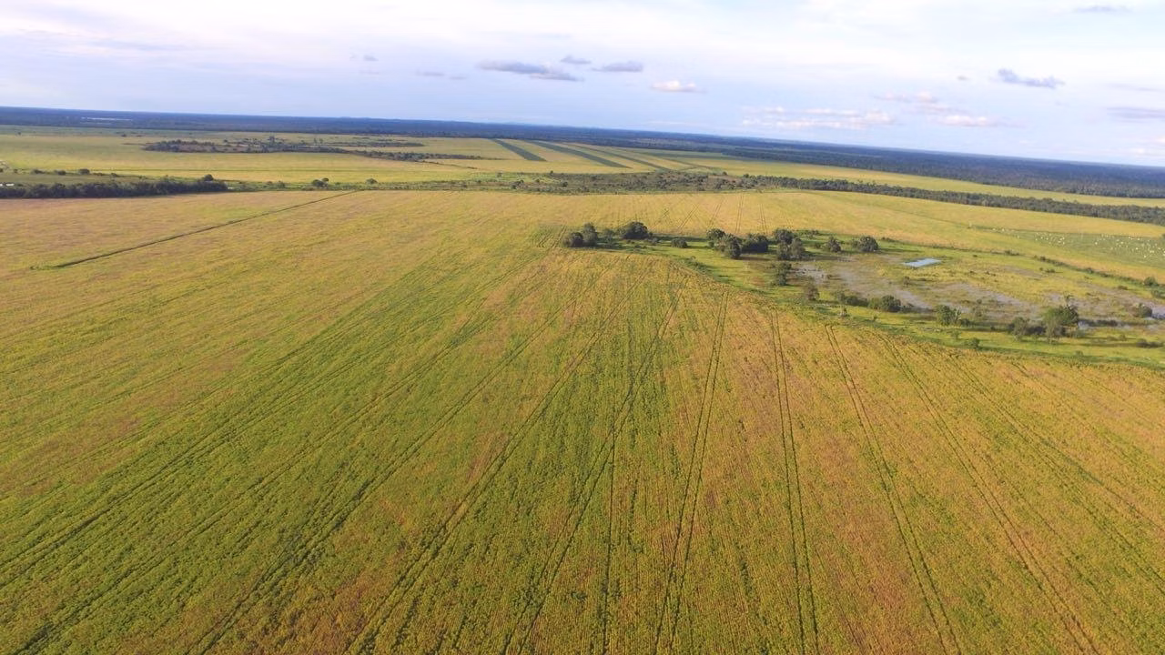 Fazenda de 3.308 ha em Cocalinho, MT