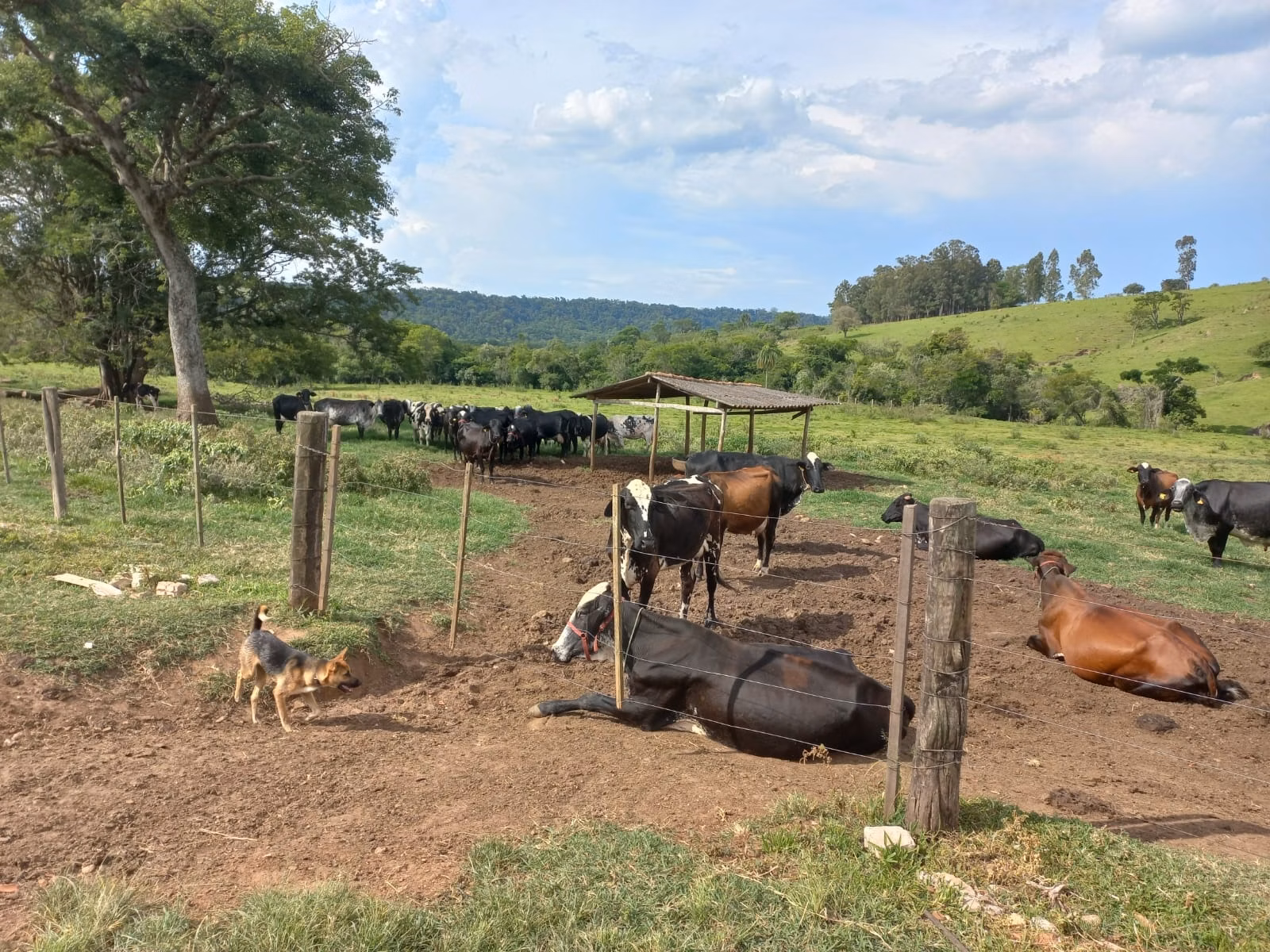 Sítio de 82 ha em Angatuba, SP