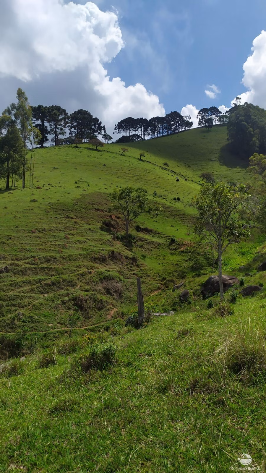 Terreno de 9 ha em Consolação, MG