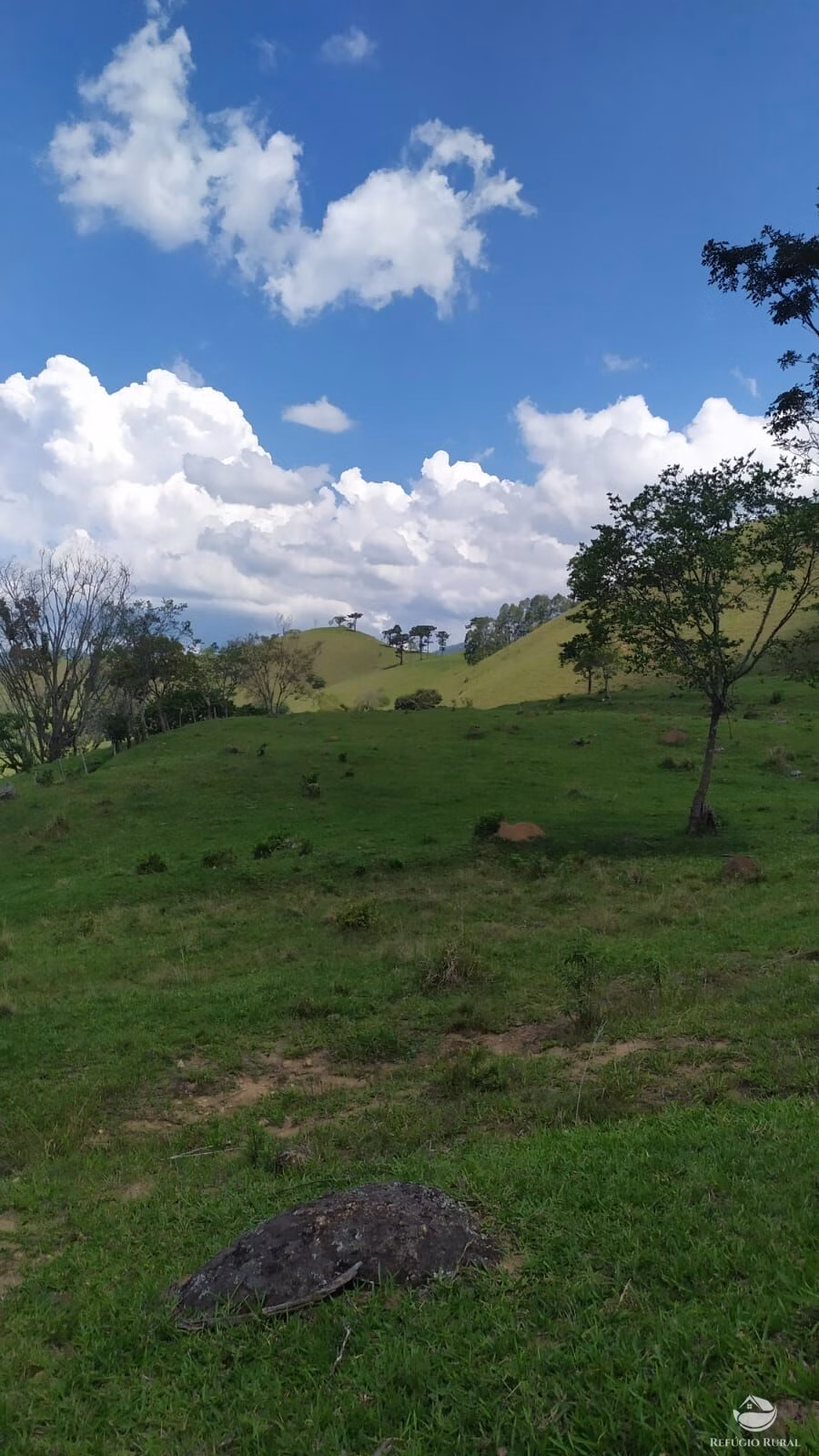 Terreno de 9 ha em Consolação, MG