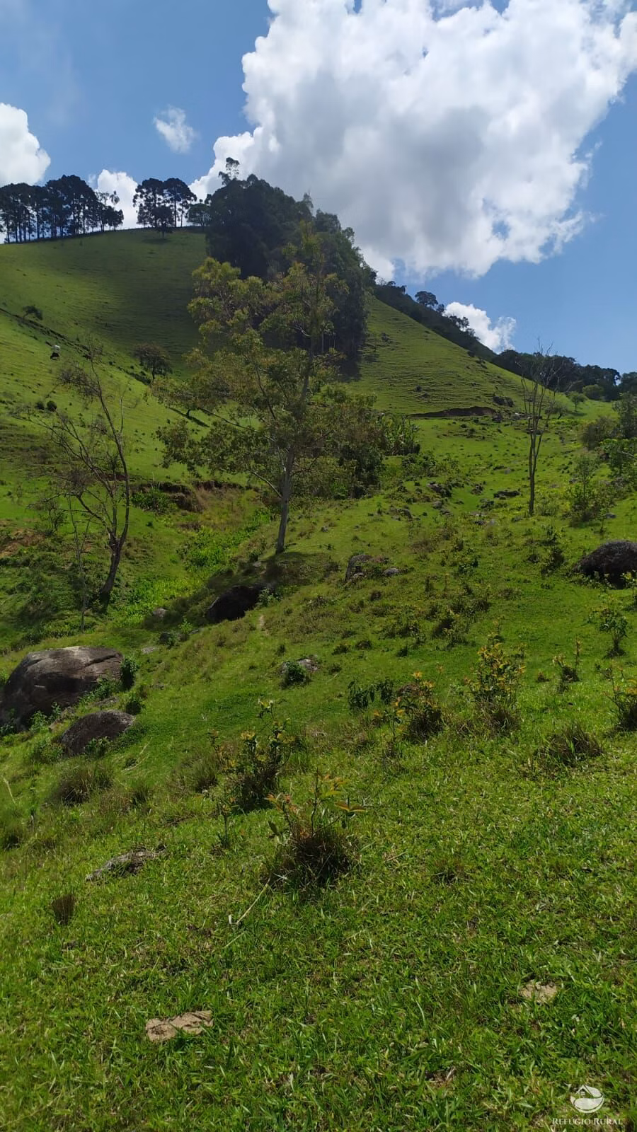 Terreno de 9 ha em Consolação, MG
