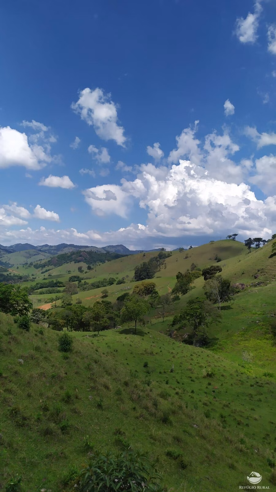 Terreno de 9 ha em Consolação, MG