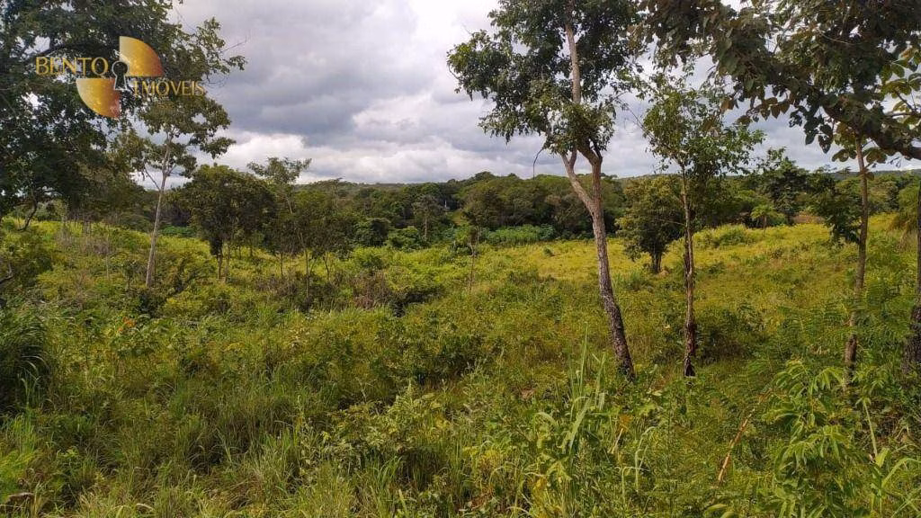 Sítio de 70 ha em Nossa Senhora do Livramento, MT